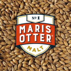 Bild på Maris Otter Ale Malt